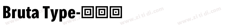 Bruta Type字体转换